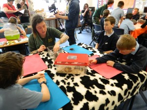 Animal Educational School visits
